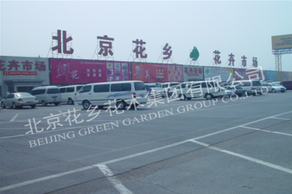 北京花鄉花卉市場